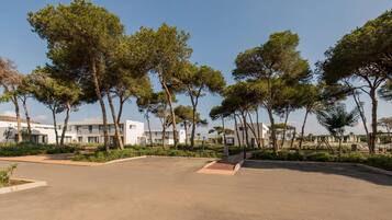 A spacious outdoor area with a paved surface, surrounded by tall trees and modern buildings with balconies.