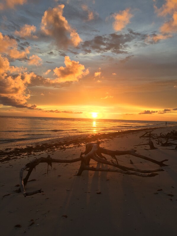 Experience serene tranquility on this untouched beach, where the horizon meets the sea.