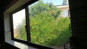 Une fenêtre donnant sur un buisson verdoyant et un bâtiment en arrière-plan.