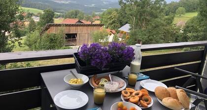 Apartment Tälerblick -neu Modernisiert-