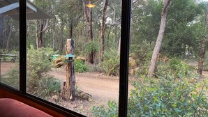 A view through a window of a forested area with a dirt path, a wooden post with a bird feeder, and a bench in the background.
