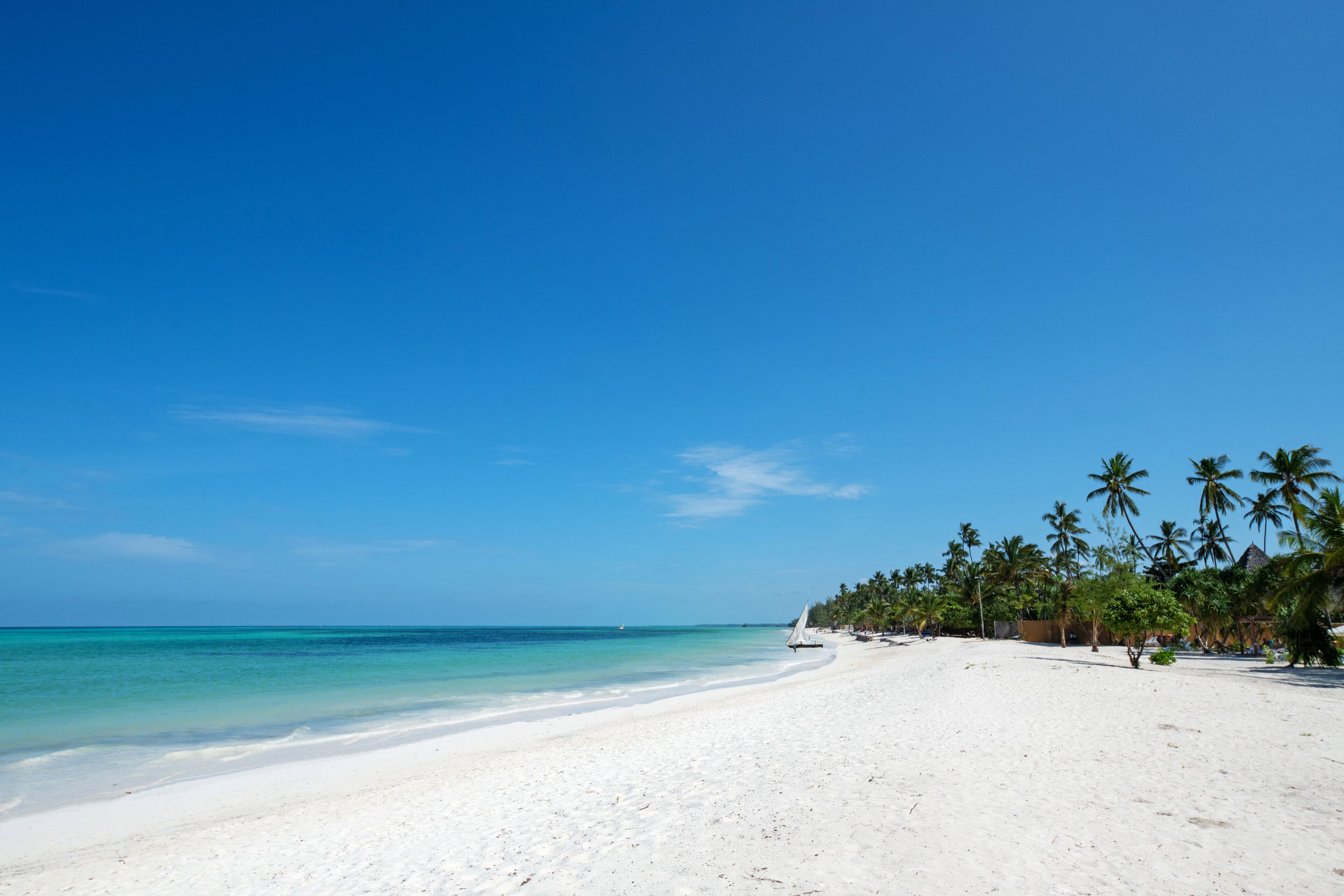 Ein Strand mit weißem Sand, klarem, blauem Wasser und Palmen.