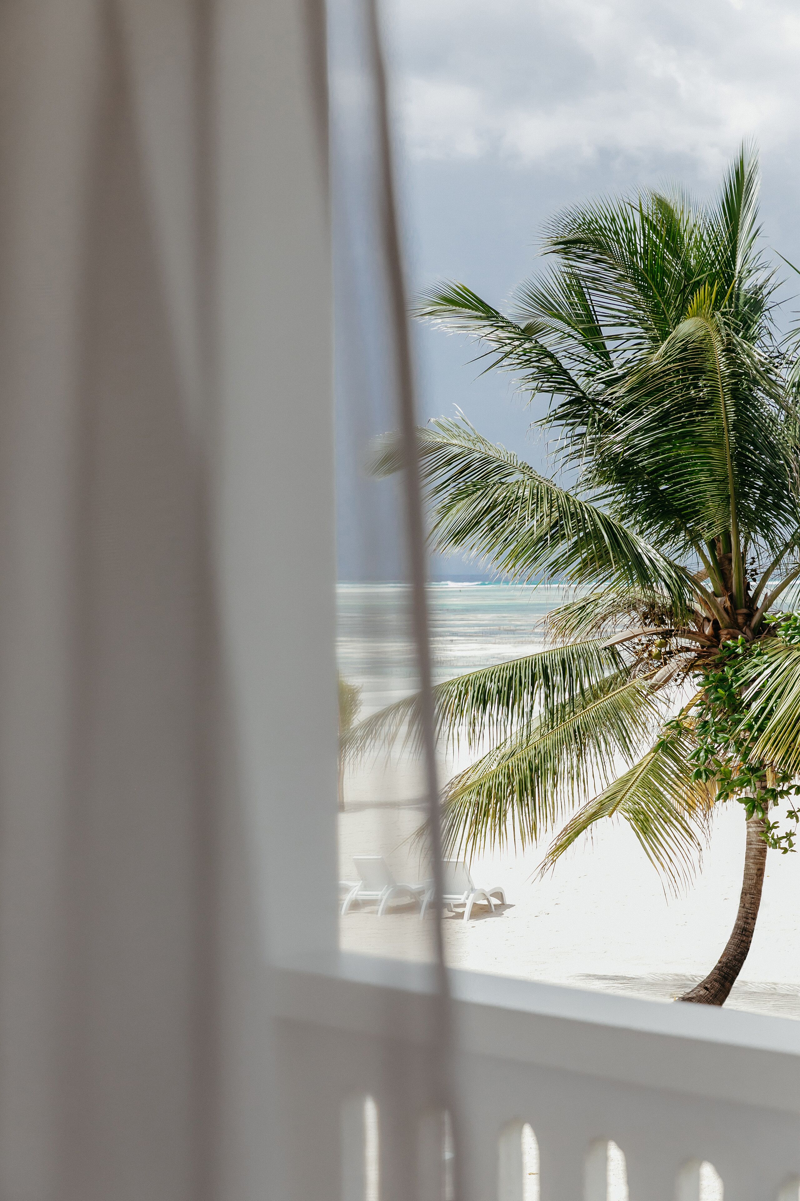 A view of a beach with a palm tree and a white railing.
