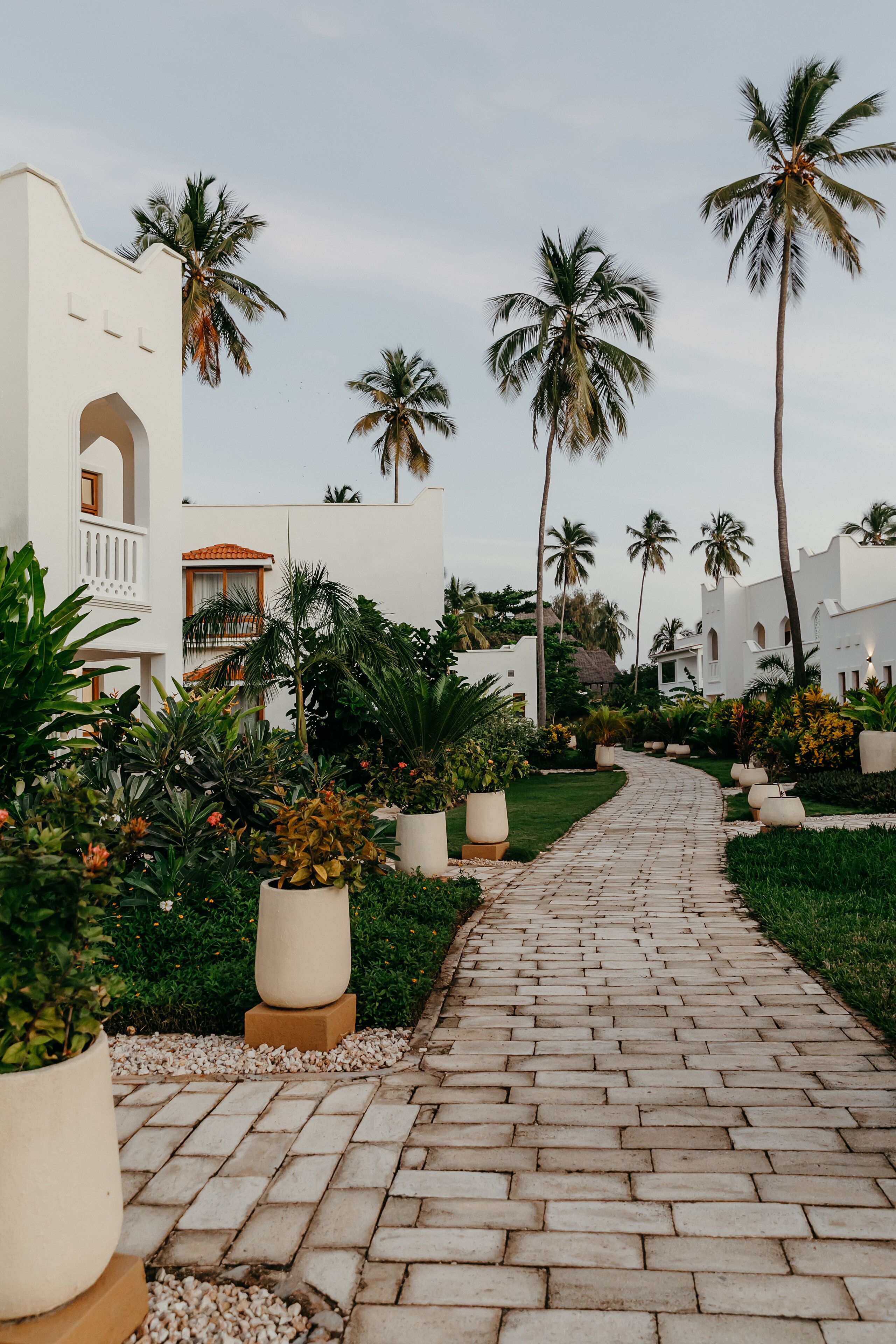 A paved pathway leading through a lush garden with palm trees and potted plants, flanked by white buildings with arched windows and balconies.