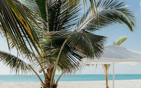 A beach scene with a palm tree, two white lounge chairs, and a beach umbrella.