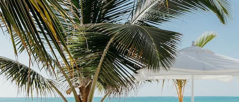 On the beach, white sand