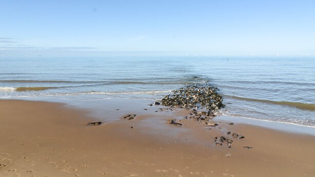 Una playa arenosa con rocas dispersas y huellas.