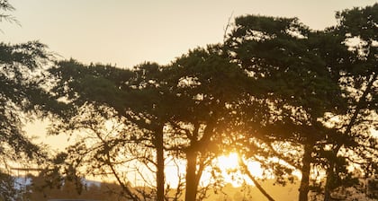 Domo Glamping tent for 2 to 4 persons in the beautiful Viehbrook farm