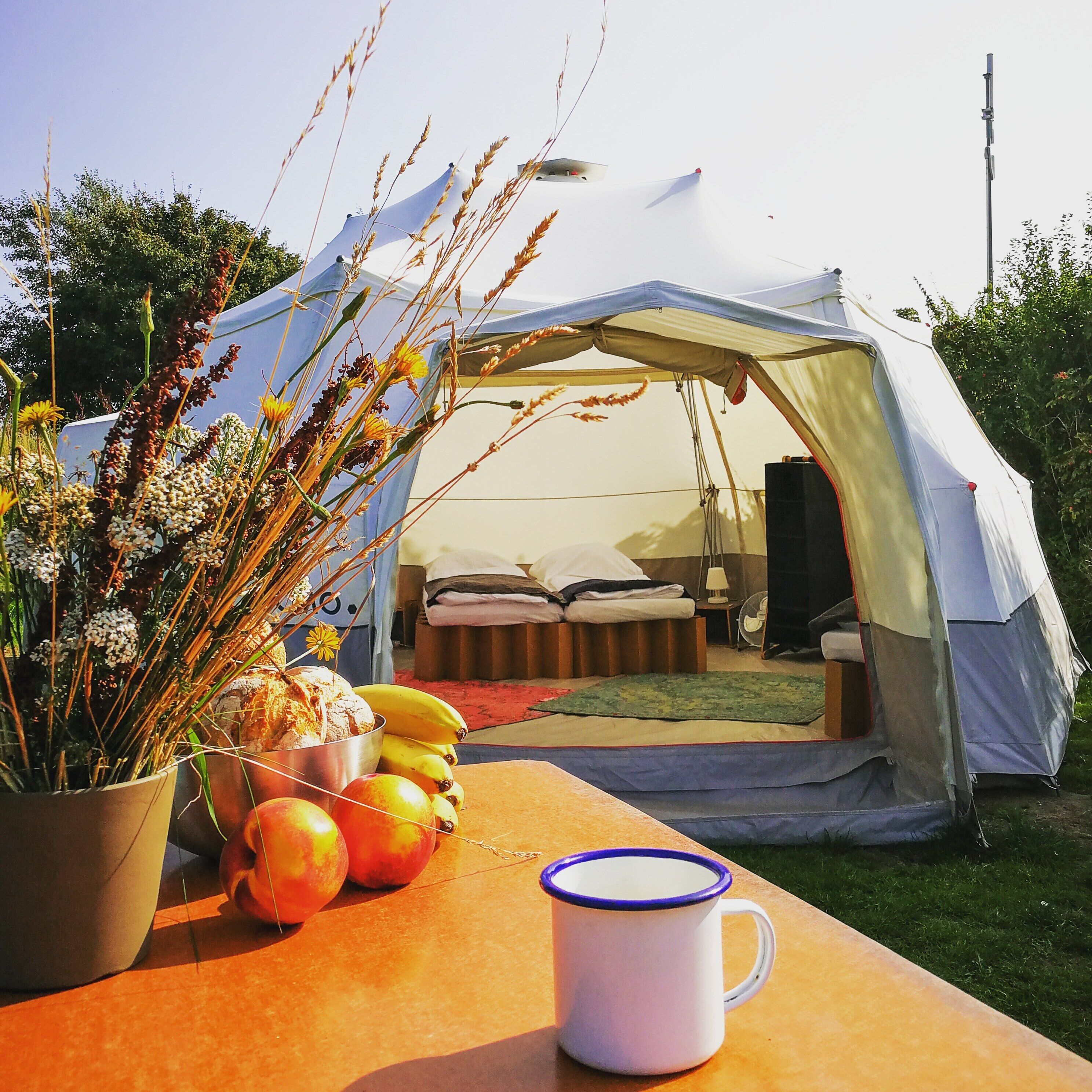 Overnattingsstedets uteområder