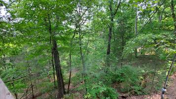 Tent (TreeTopper 2 - Fully Set up tent Site) | Property grounds