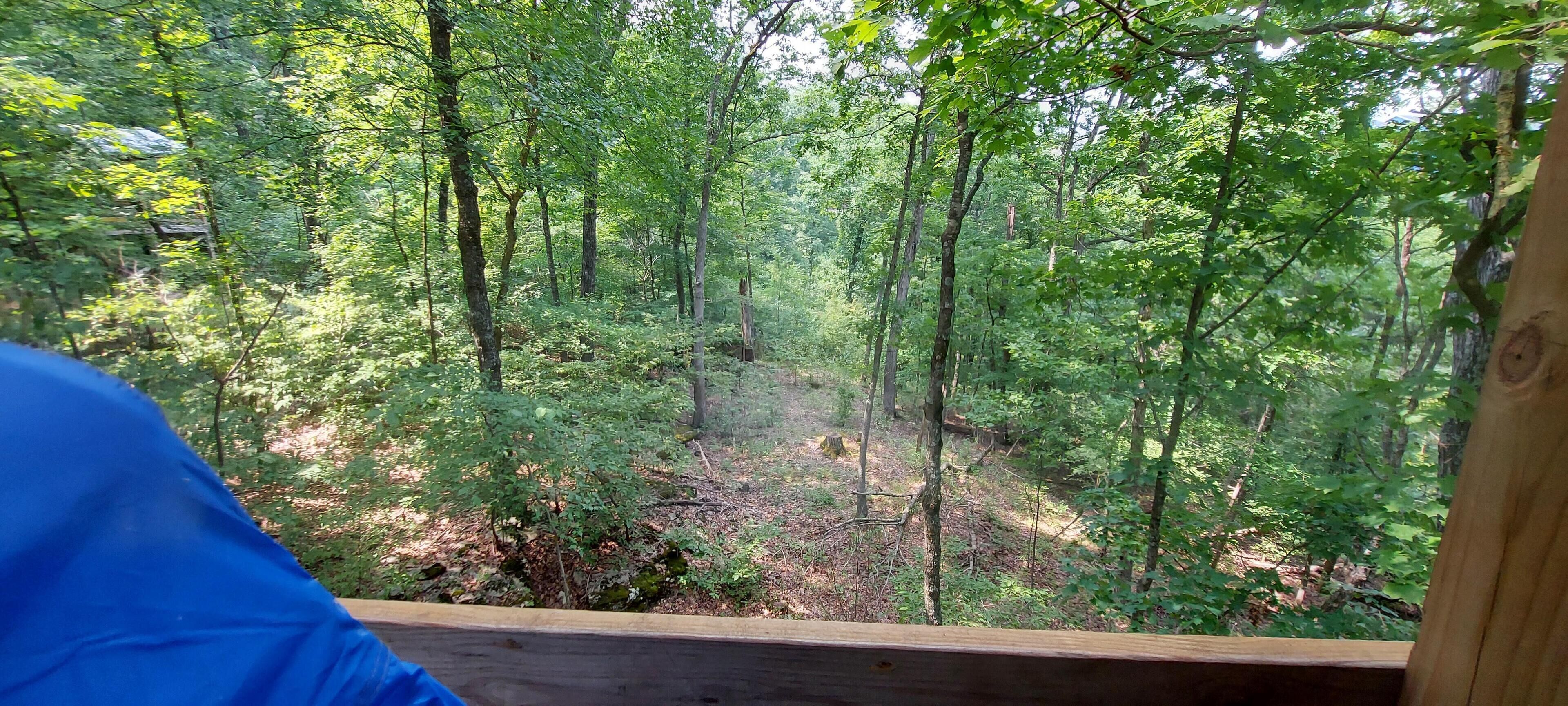 Tent (TreeTopper 2 - Fully Set up tent Site) | Balcony