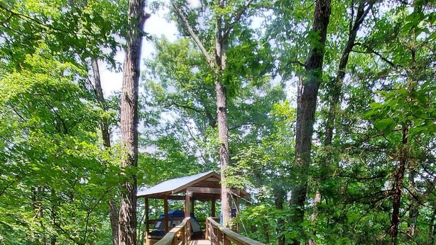 Tent (TreeTopper 2 - Fully Set up tent Site) | Property grounds - Treetopper 2 Fully Set up Tent Site with BBQ, Firepit, Outdoor Pool & Hiking (Branson)