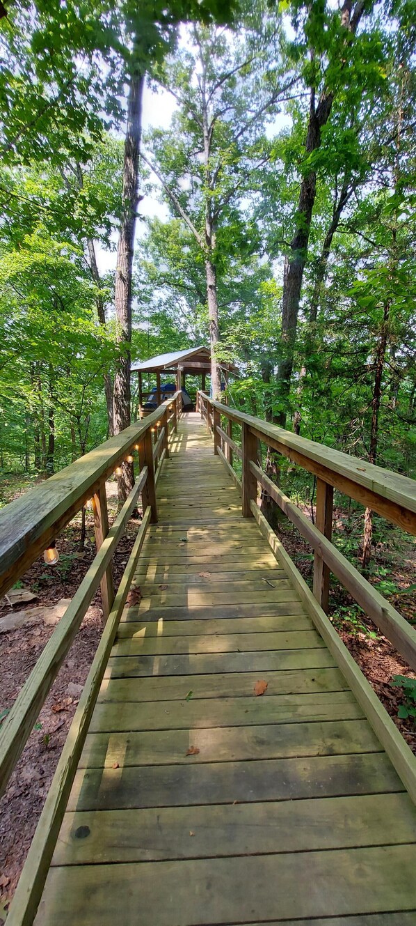 Tent (TreeTopper 2 - Fully Set up tent Site) | Property grounds - Treetopper 2 Fully Set up Tent Site with BBQ, Firepit, Outdoor Pool & Hiking (Branson)