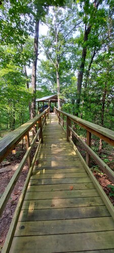 Treetopper 2 Fully Set up Tent Site with BBQ, Firepit, Outdoor Pool & Hiking