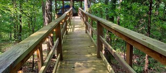 Treetopper 2 Fully Set up Tent Site with BBQ, Firepit, Outdoor Pool & Hiking