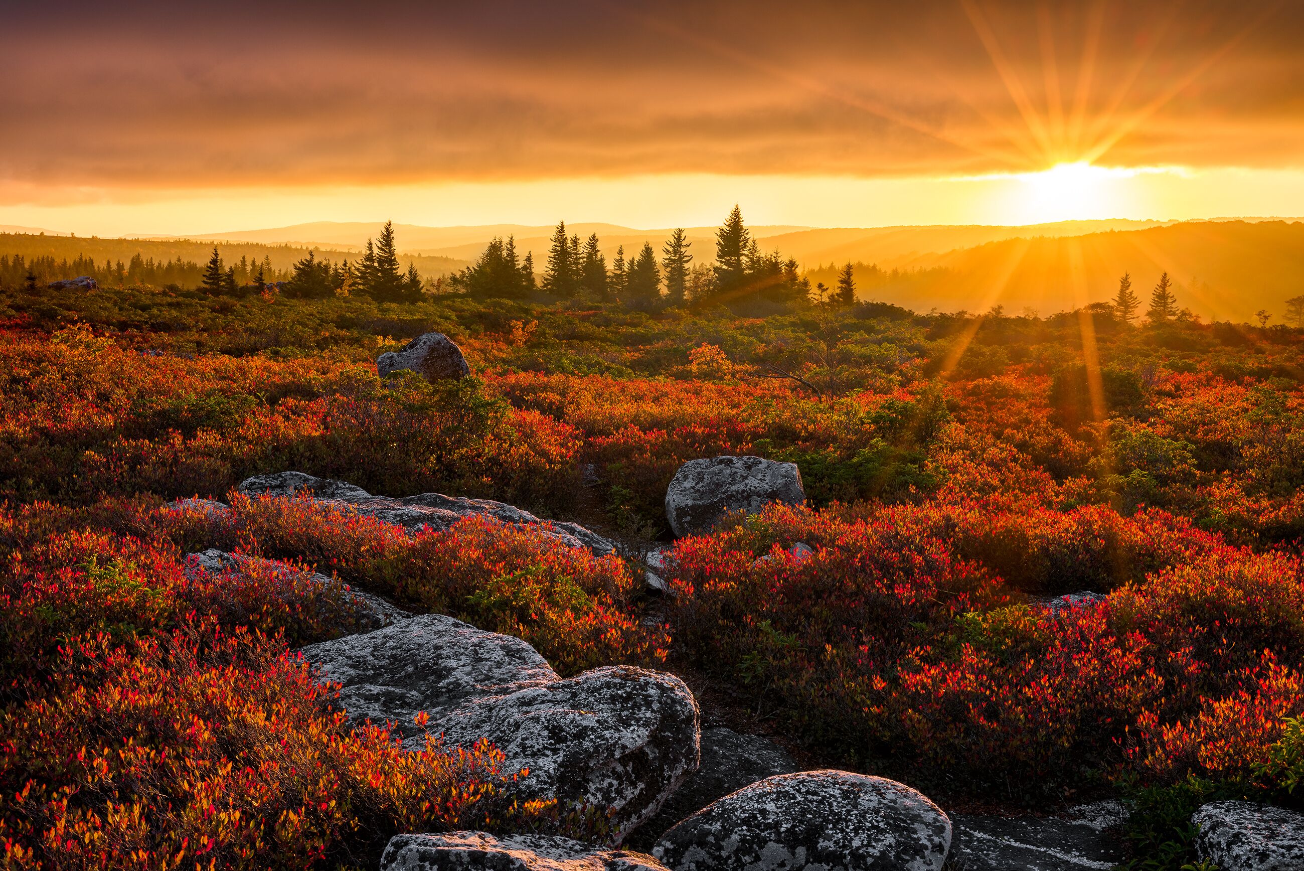 Paesaggio con tramonto, terreno roccioso e vegetazione fitta.
