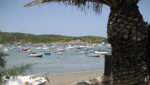 A beach with numerous boats anchored in the water, a palm tree in the foreground, and a clear sky. - Villa Persephone (Binibequer)