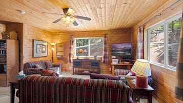 Smart TV, fireplace, video games, books