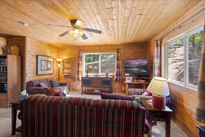 智能电视、壁炉、电子游戏、书