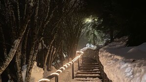 A snow-covered staircase with metal railings and stone walls, surrounded by trees. - Chalet ski in / out avec vue, emplacement fabuleux (Meribel Les Allues)