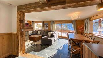 Télévision, cheminée, livres, chaîne hi-fi