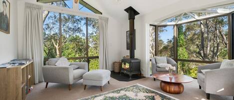 Smart TV, fireplace, DVD player, books