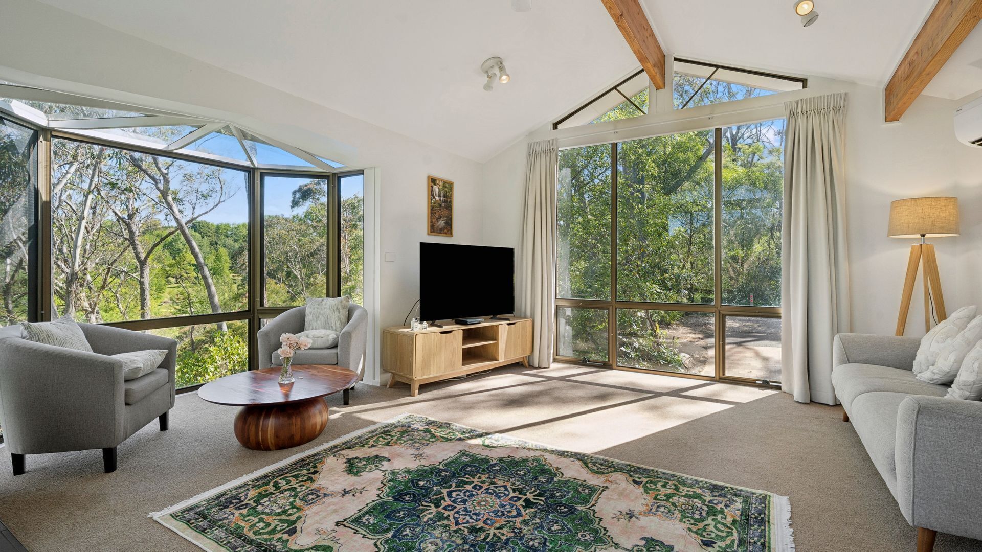 Una Smart TV, una chimenea, un reproductor de DVD, libros