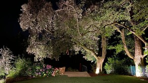 Un jardín bien iluminado con un camino empedrado que lleva a una puerta, rodeado de árboles y plantas en flor.