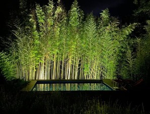 A swimming pool with bamboo plants in the background. - LE SCUDERIE: Villa with private pool and garden (Lubaco Pontassieve Firenze - Toscana)