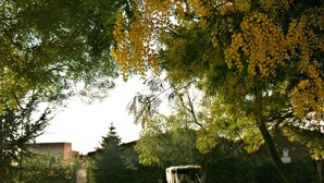 A park with a stone fountain, trees, and a building in the background. - House with two terraces (espolla)