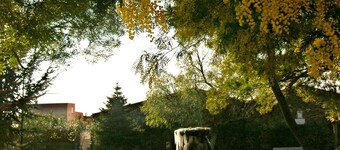 House with two terraces