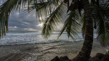 On the beach, white sand, free beach shuttle, sun-loungers