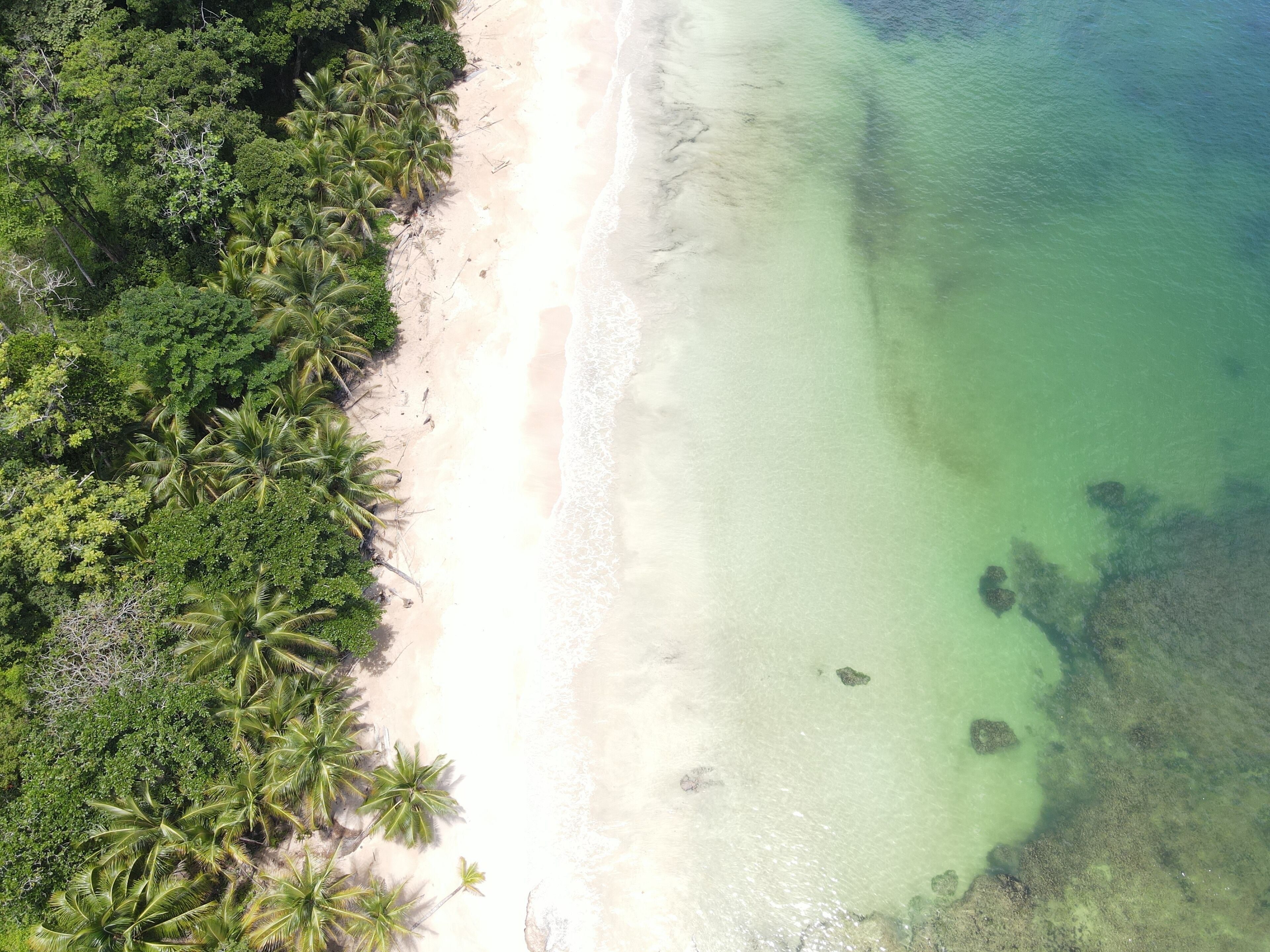 An aerial view of a beach with clear turquoise water, sandy shore, and dense palm trees.