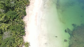 An aerial view of a beach with clear turquoise water, sandy shore, and dense palm trees.
