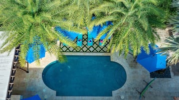 Outdoor pool, pool umbrellas, pool loungers