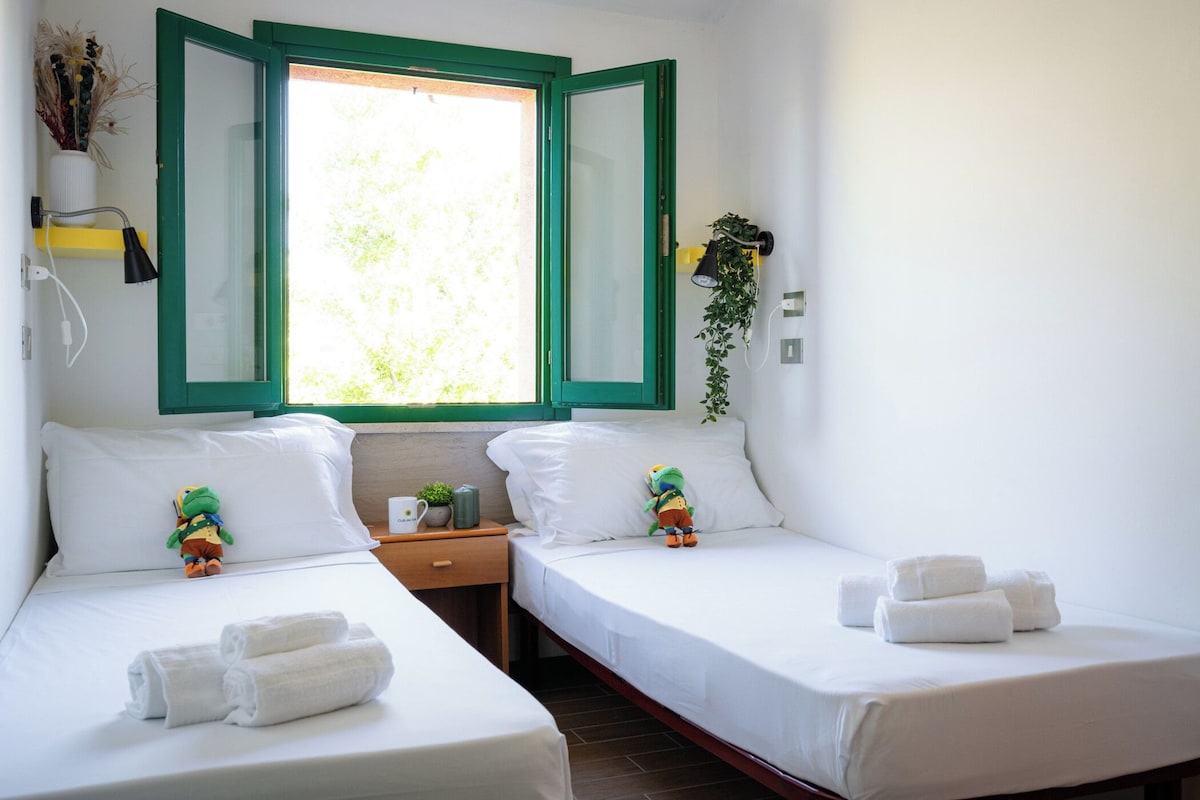 A hotel room with two beds, a window with green shutters, a bedside table with a lamp, a small plant, and towels on the beds.