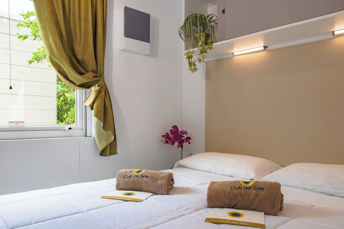 A hotel room with a bed, two towels, a potted plant, and a window with curtains.