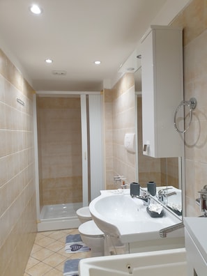 Regadera, secadora de cabello, bidet, toallas