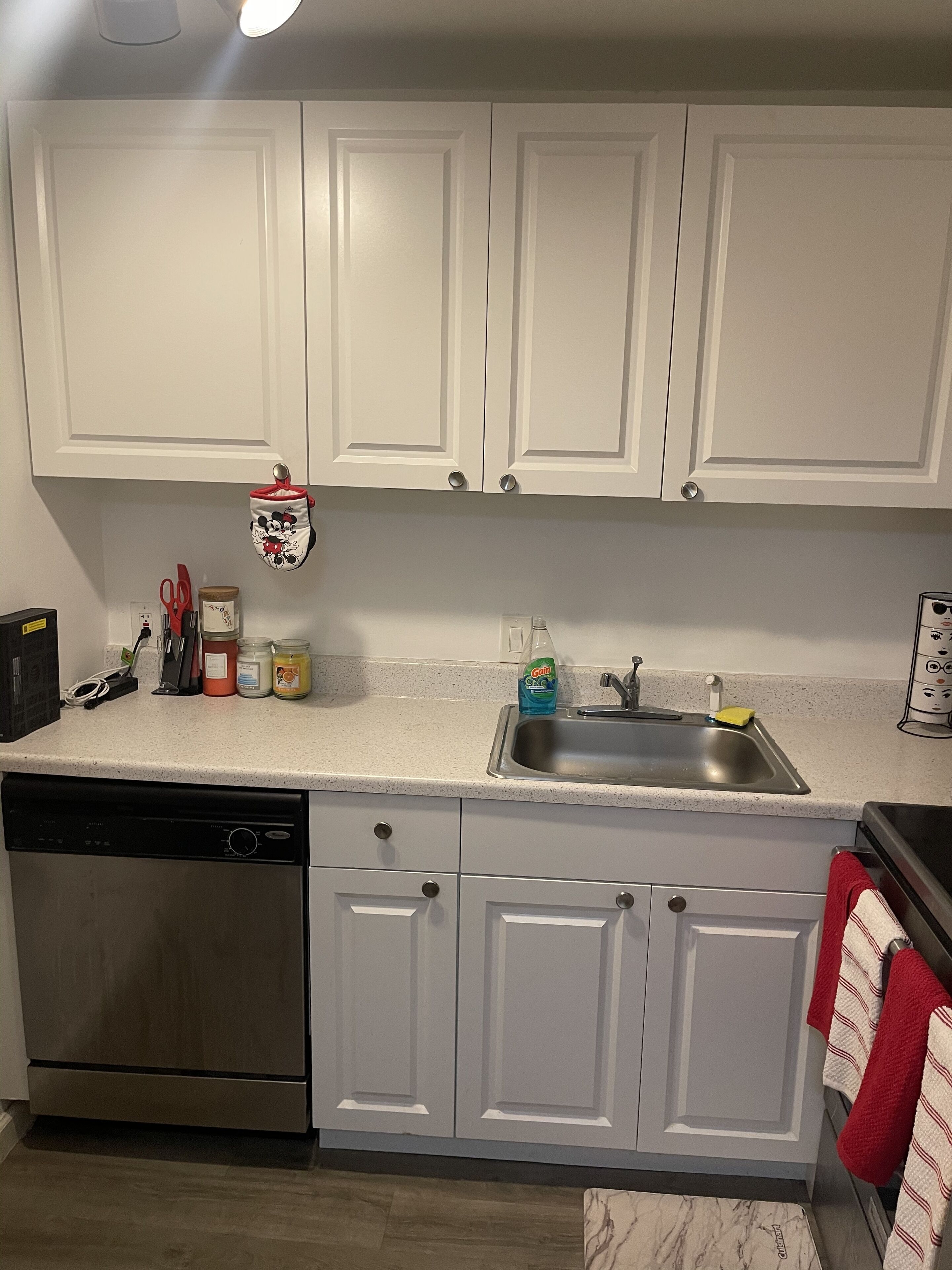 A kitchen with white cabinets, a stainless steel dishwasher, and a sink.