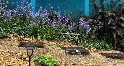 Tracktown & Duck fans enjoy! Sleeps 6, Spacious 1600sq ft + private yard!