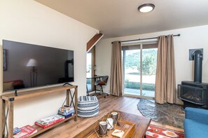 Smart TV, fireplace, DVD player, books