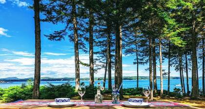 Waterfront, cabin, fire pit, romantic, hiking, heat/AC, Couples Cove Cottage