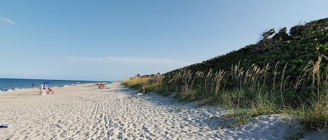 Vlak bij het strand