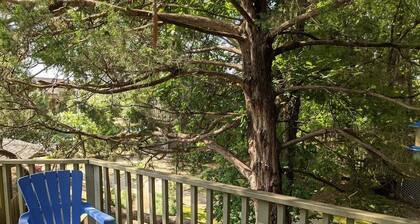 Tree House Condo! Great Location! Steps From Campus!