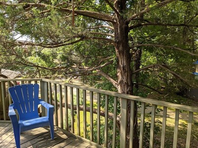 Tree House Condo! Great Location! Steps From Campus!