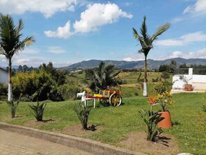 A rural landscape with a tractor, palm trees, and a white building.
