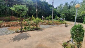 A paved driveway leading to a building with a garden area featuring a variety of plants and trees. - Bigso stay (Yangyang)