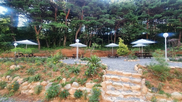 A garden area with outdoor seating and a stone pathway. - Bigso stay (Yangyang)