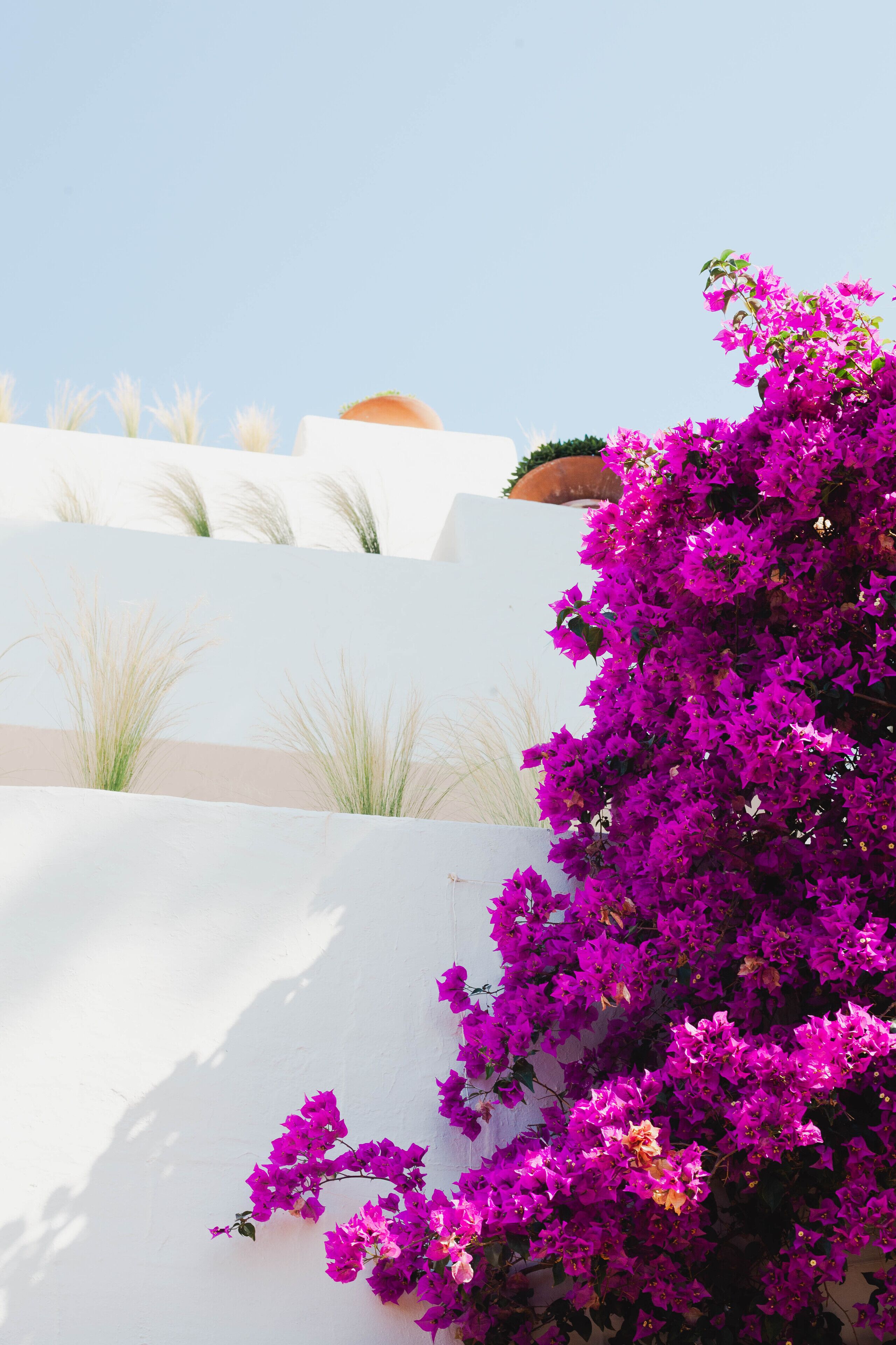 Foto - Hotel Ritual de Terra & SPA