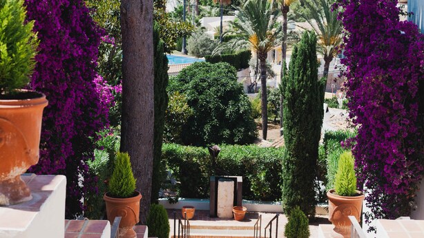A staircase leading to a terrace with potted plants and a view of a mountainous landscape. - Ritual de Terra Javea Resort & Spa (Javea)